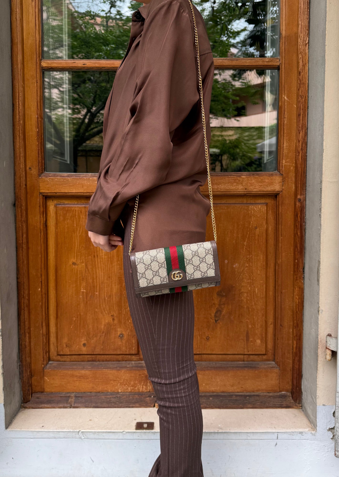 Gucci Borsa Ophidia Wallet on Chain Beige e Marrone
