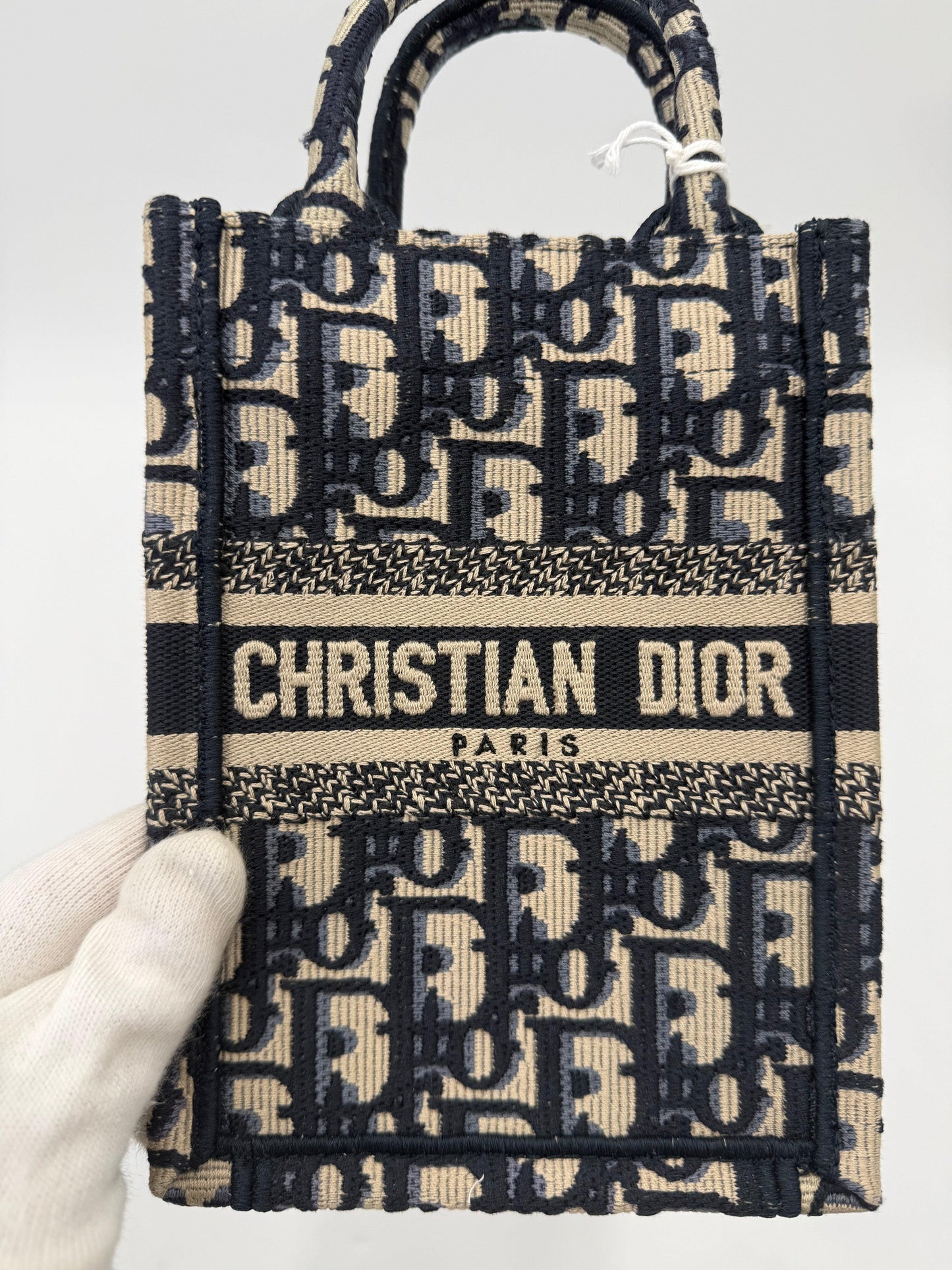Dior Blue Oblique Canvas Mini Book Tote Vertical Bag