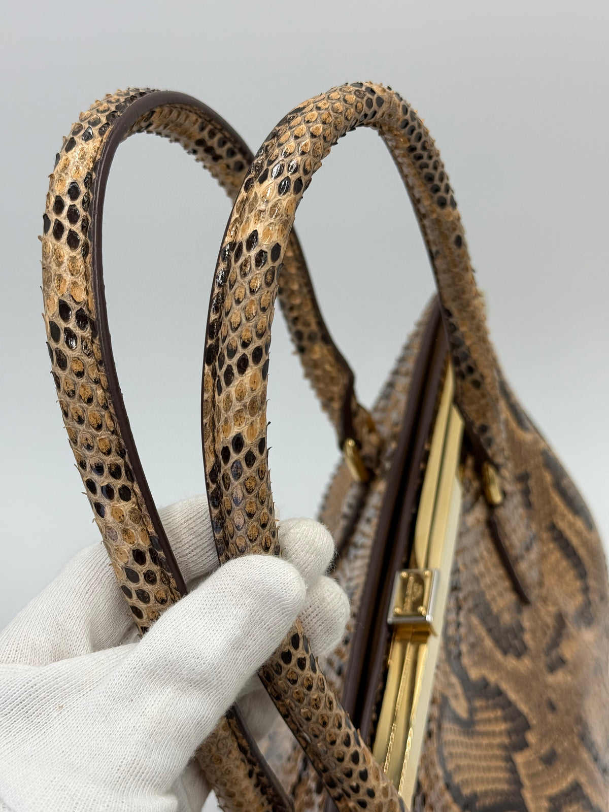 Dolce e Gabbana Borsa a Mano in Pelle di Pitone Marrone - Pally Vintage Closet
