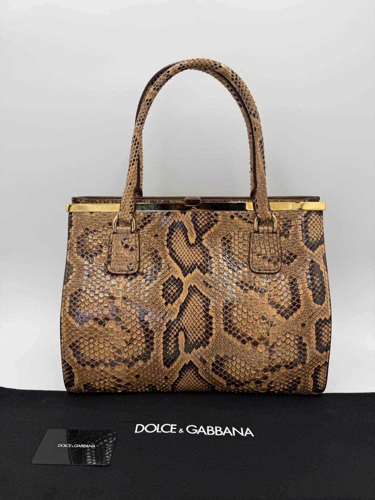 Dolce e Gabbana Borsa a Mano in Pelle di Pitone Marrone - Pally Vintage Closet