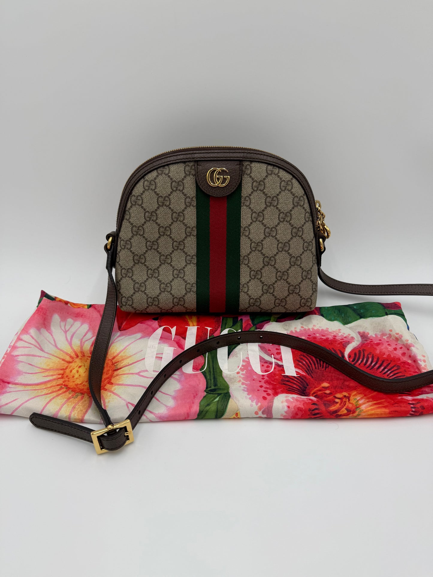 Gucci Borsa a Tracolla Ophidia GG Supreme Piccola - Pally Vintage Closet