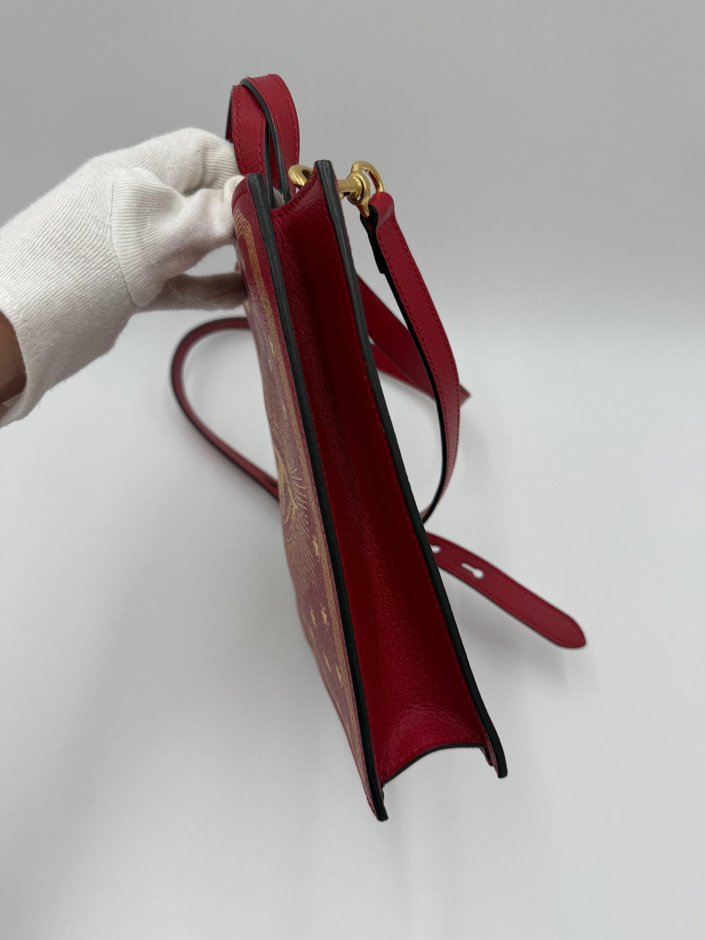 Gucci-Garden-Borsa-Eye-Tote-Edizione-Limitata-Rossa-70420554678596 - Pally Vintage Closet