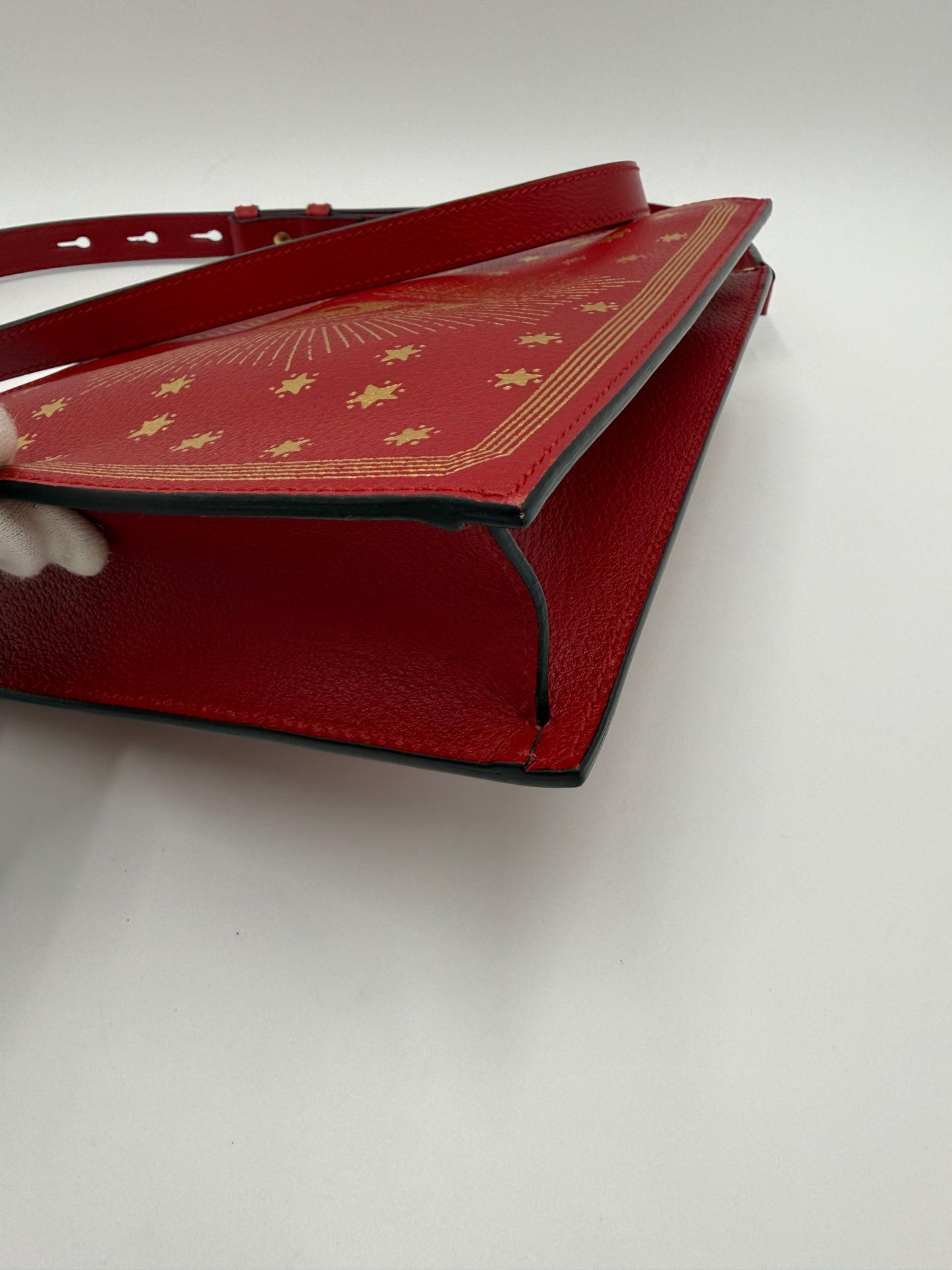 Gucci-Garden-Borsa-Eye-Tote-Edizione-Limitata-Rossa-70420554711364 - Pally Vintage Closet
