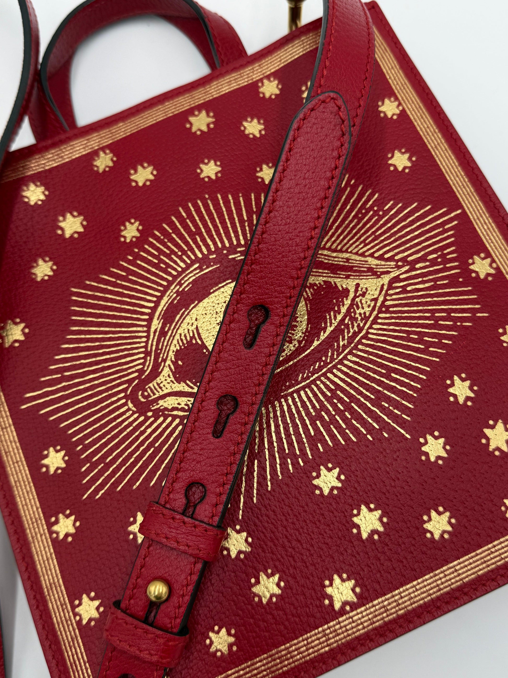 Gucci-Garden-Borsa-Eye-Tote-Edizione-Limitata-Rossa-70420554809668 - Pally Vintage Closet