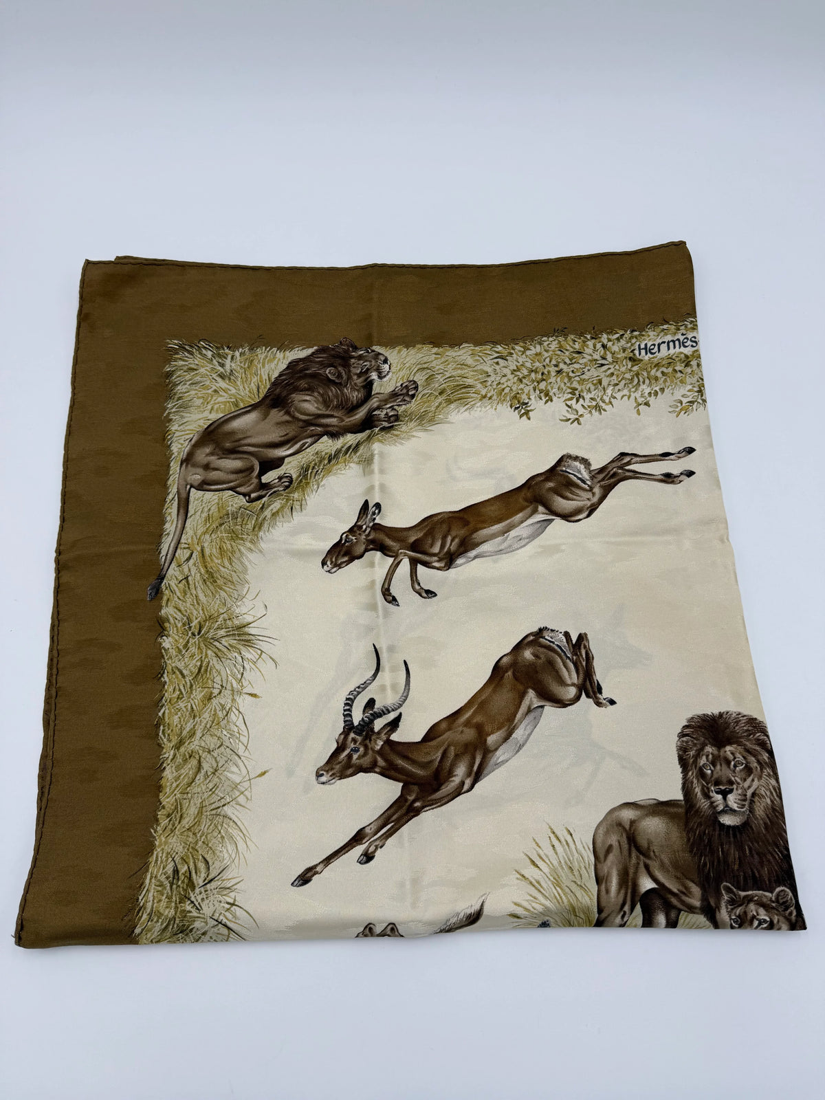 Hermès Foulard Vintage Kenya Seta Jacquard Cachi - Pally Vintage Closet