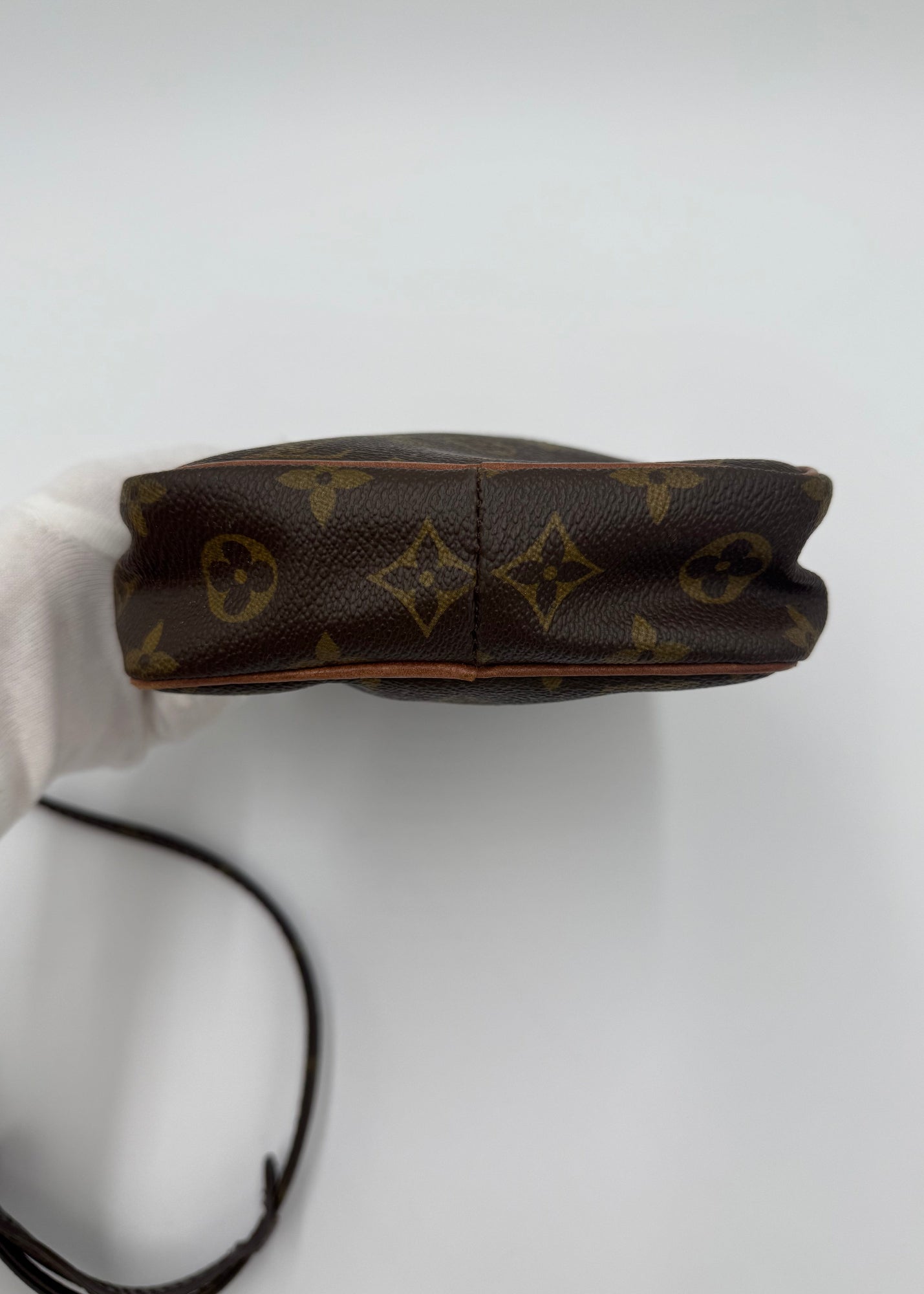 Louis Vuitton Borsa Amazon Vintage Monogram Marrone