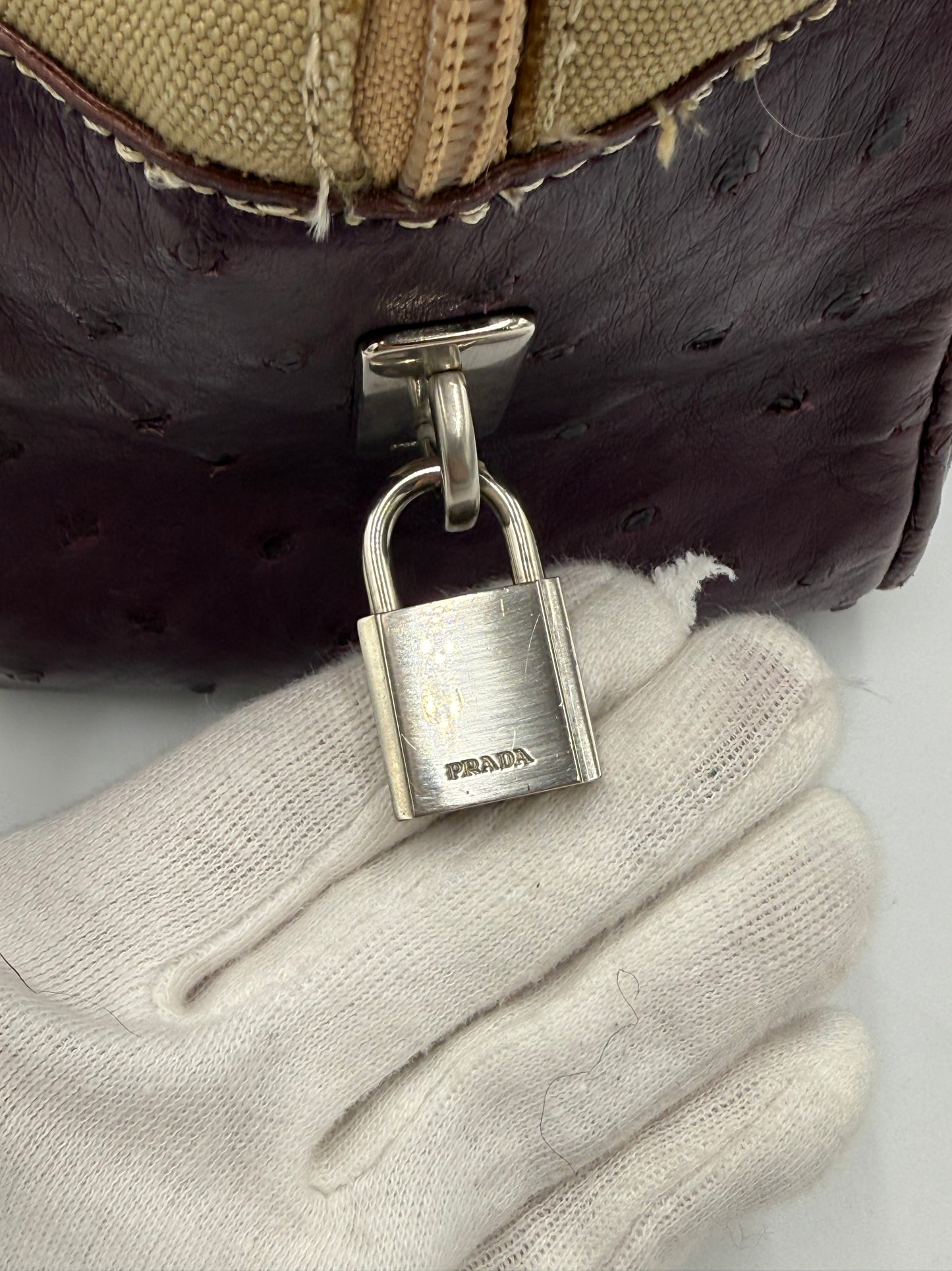 Prada Bauletto Vintage in Tela e Pelle di Struzzo Viola - Pally Vintage Closet