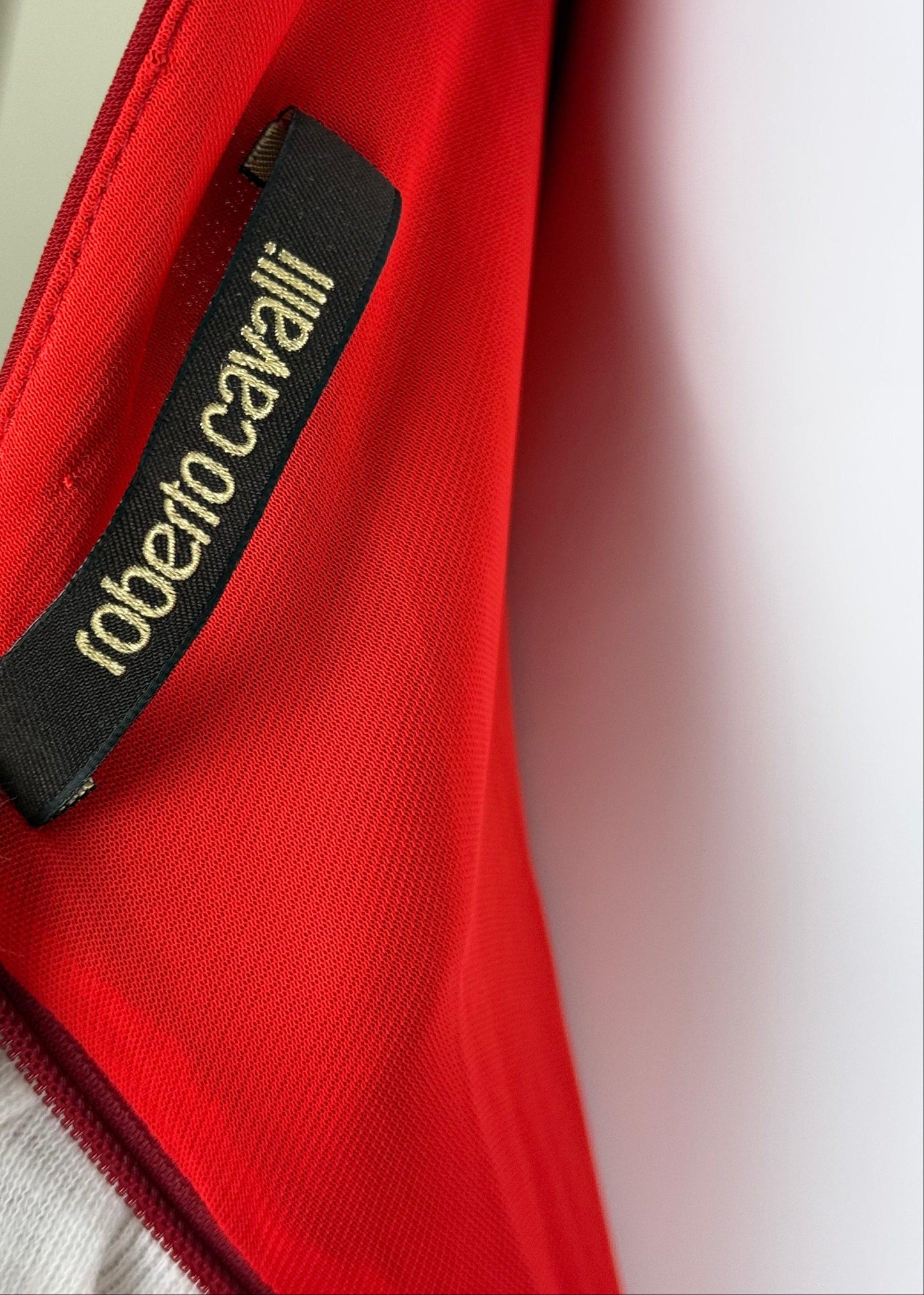 Roberto Cavalli Abito da Sera con Dettagli in Pizzo Rosso Rubino - Pally Vintage Closet