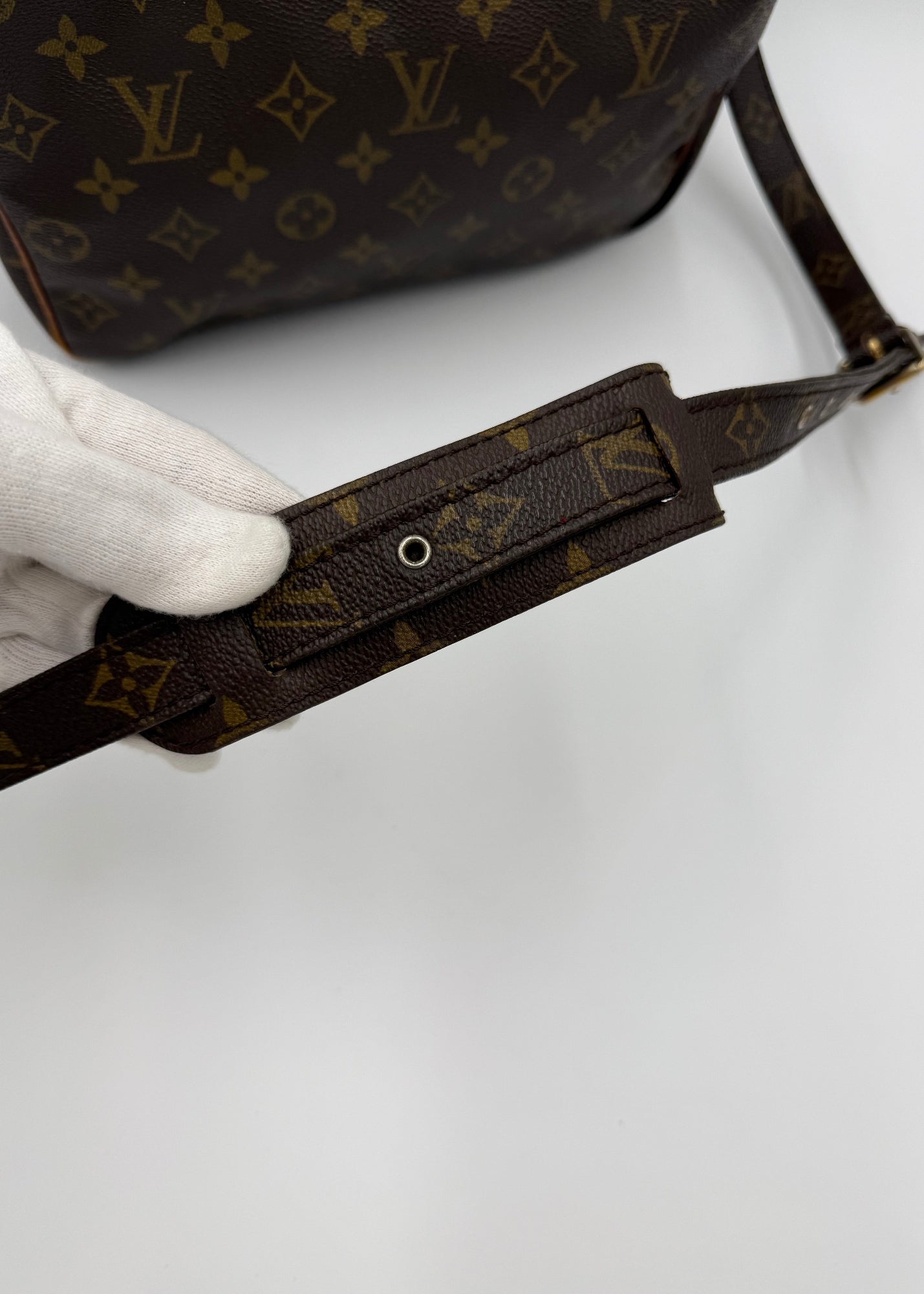 Louis Vuitton Borsa Vintage Nile Monogram Marrone